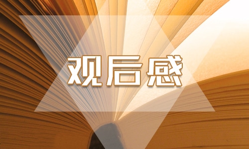 交通安全观后感300字优秀作文 交通安全观后感300字优秀作文