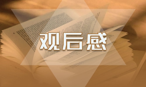 简爱读后感大全 简爱读后感大全