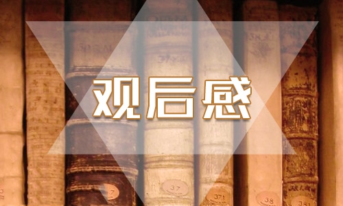 网络诈骗的观后感500字优秀范文 网络诈骗的观后感500字优秀范文