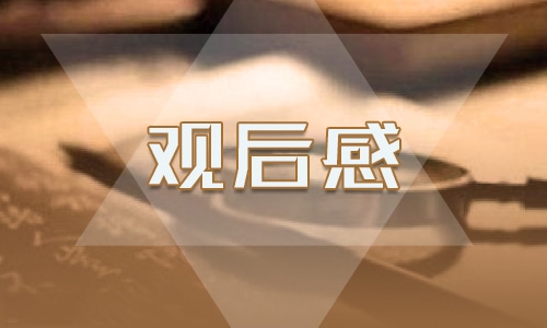 参观图书馆的优秀观后感作文800字 参观图书馆的优秀观后感作文800字