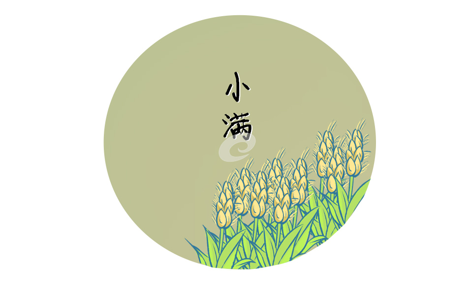 小满为什么要吃枇杷 小满为什么要吃枇杷